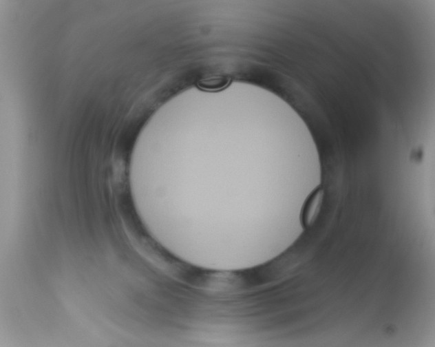 X0000113060087200909182010