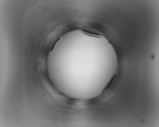 X0000113060088200909182010