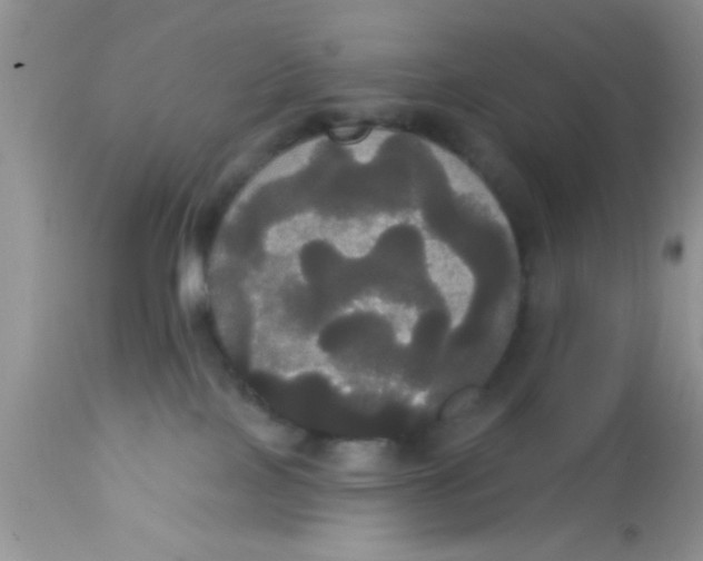 X0000113060089200909182011