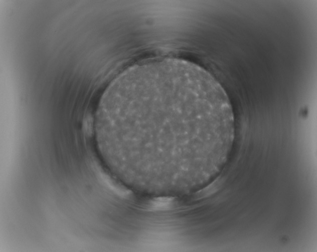 X0000113060090200909182011