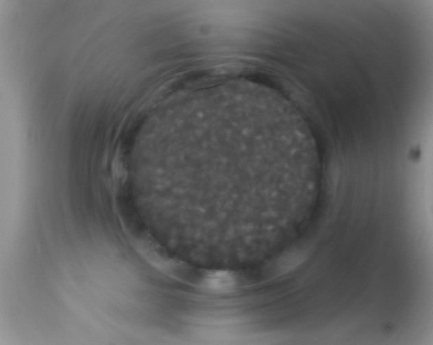 X0000113060091200909182011