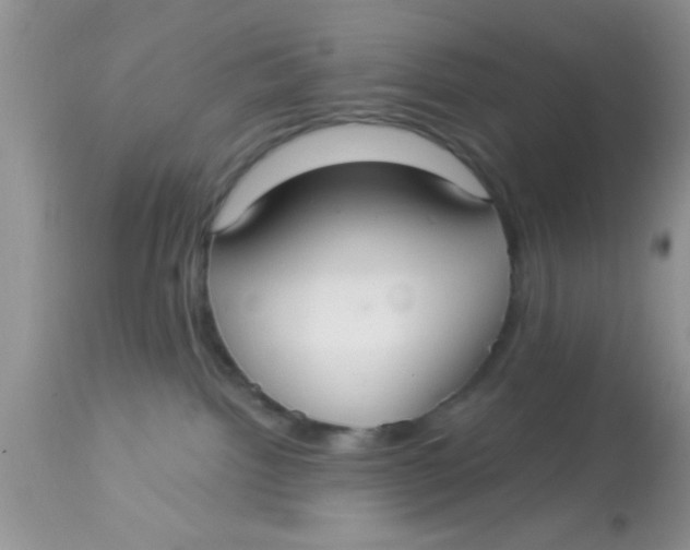 X0000113060092200909182011