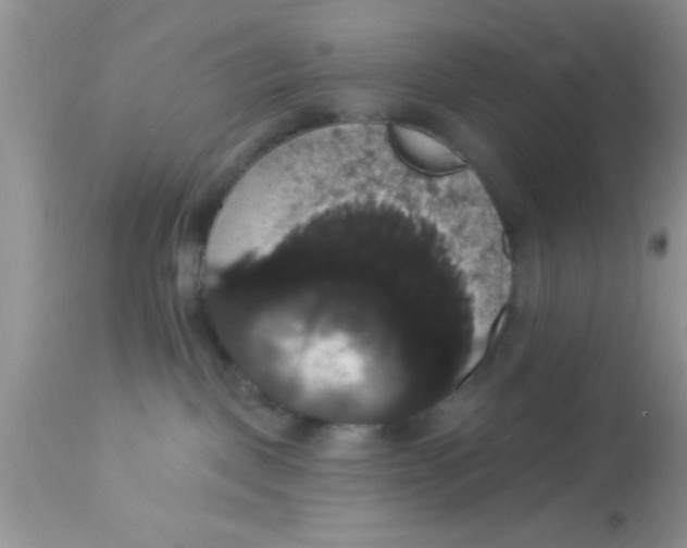 X0000113060093200909182011