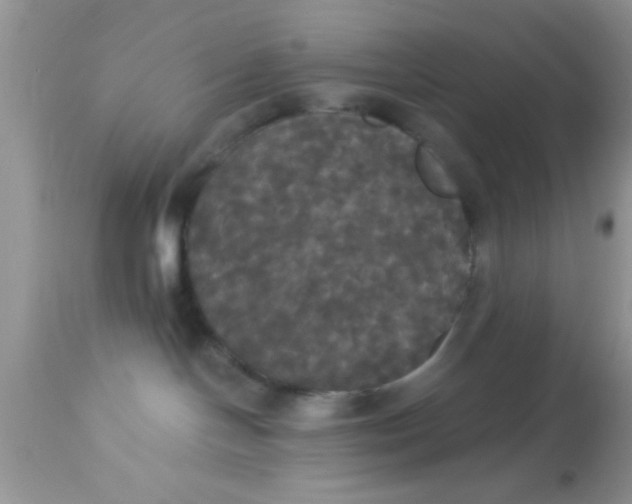 X0000113060094200909182011