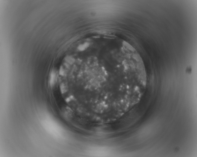 X0000113060095200909182011