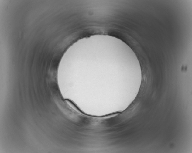 X0000113060096200909182011