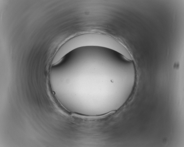 X0000113060097200909182010