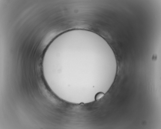 X0000113060098200909182010