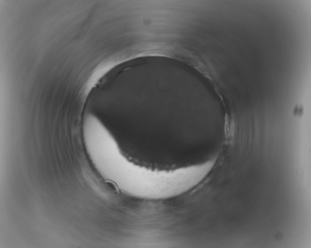 X0000113060099200909182010