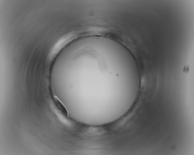 X0000113060101200909182010