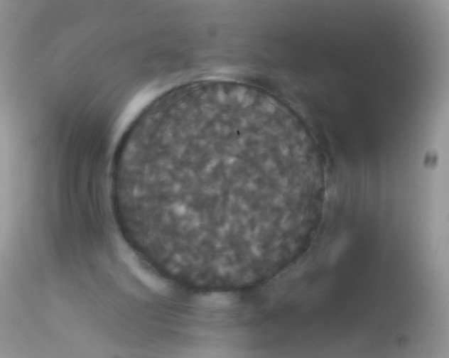 X0000113060102200909182010