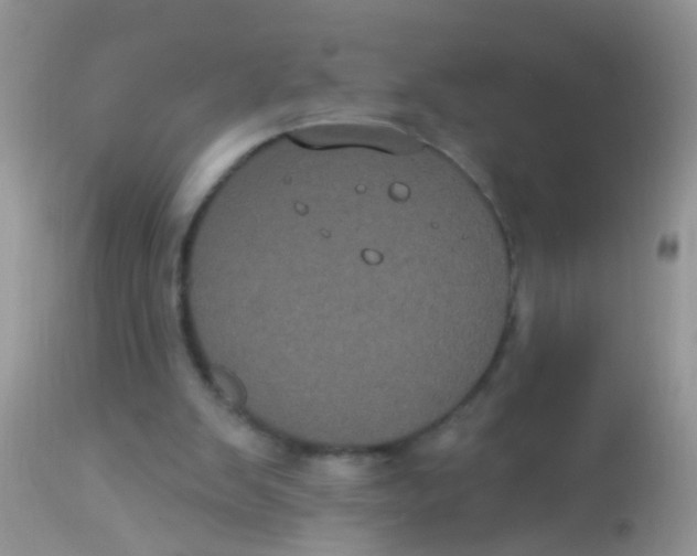 X0000113060103200909182010