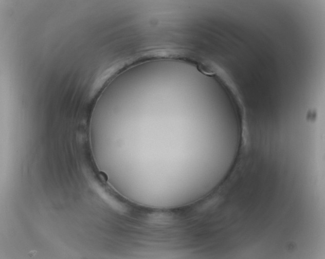 X0000113060105200909182010