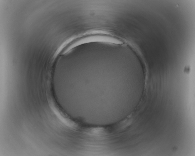 X0000113060108200909182010