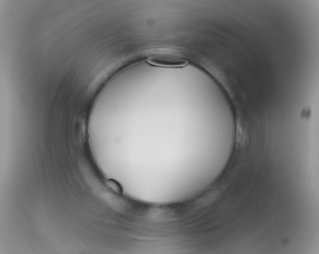 X0000113060109200909182010