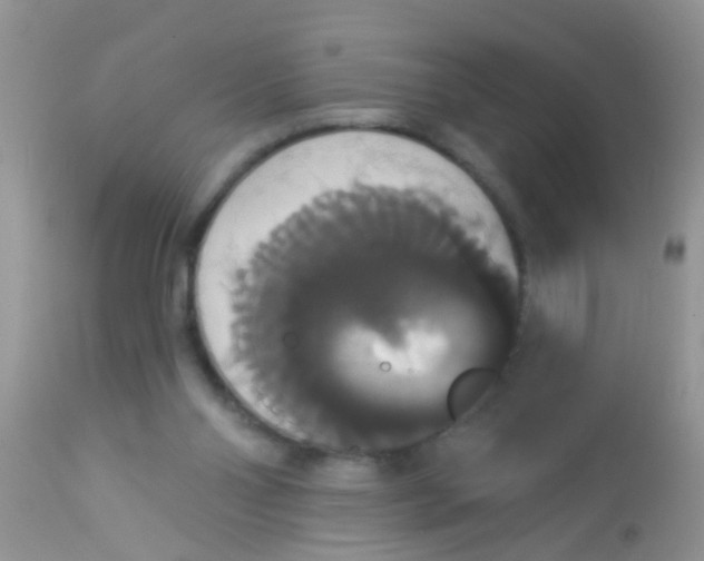 X0000113060110200909182010