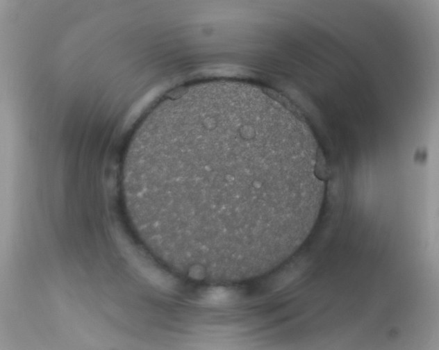 X0000113060111200909182010