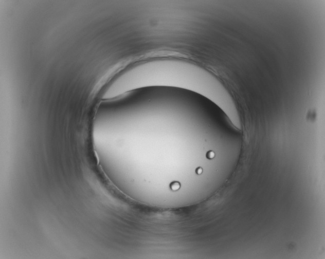 X0000113060112200909182010