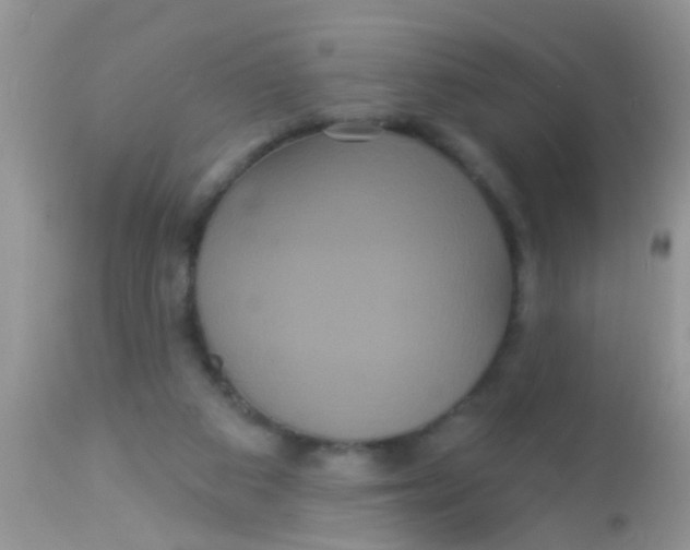 X0000113060113200909182010