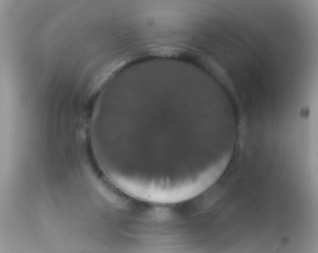 X0000113060114200909182010