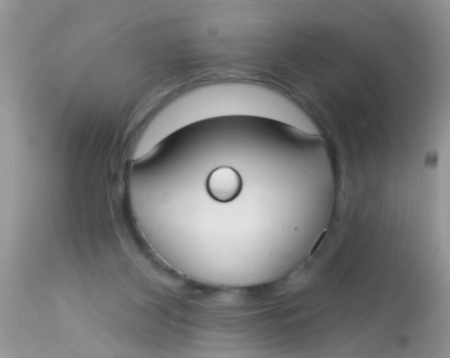 X0000113060116200909182010