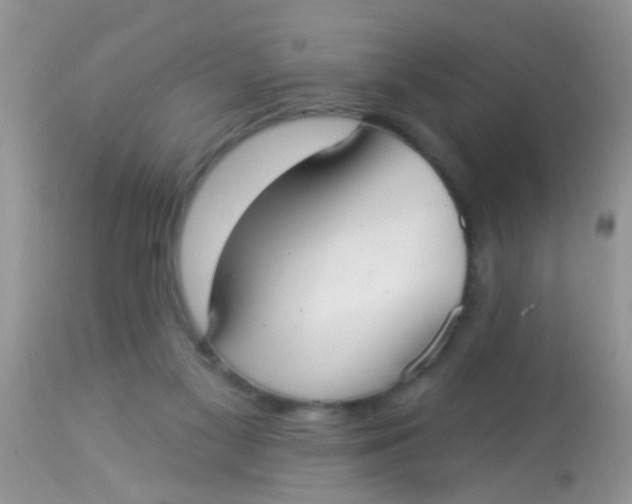 X0000113060117200909182010