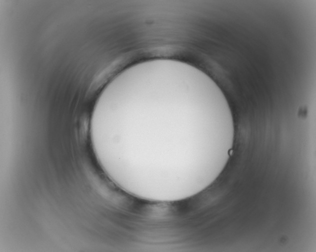 X0000113060118200909182010