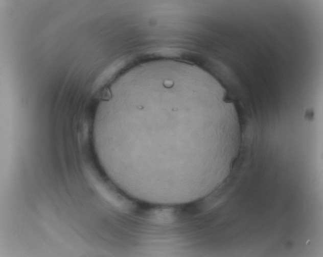 X0000113060120200909182010