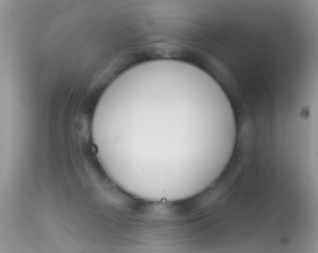 X0000113060121200909182010