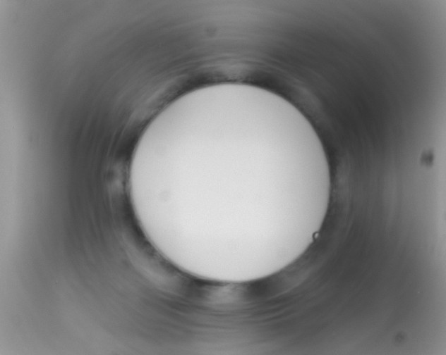 X0000113060122200909182010