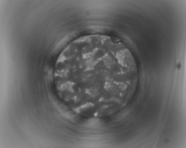 X0000113060123200909182010