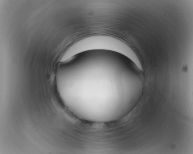 X0000113060124200909182010