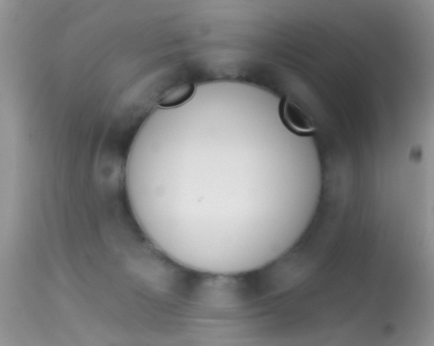 X0000113060125200909182010