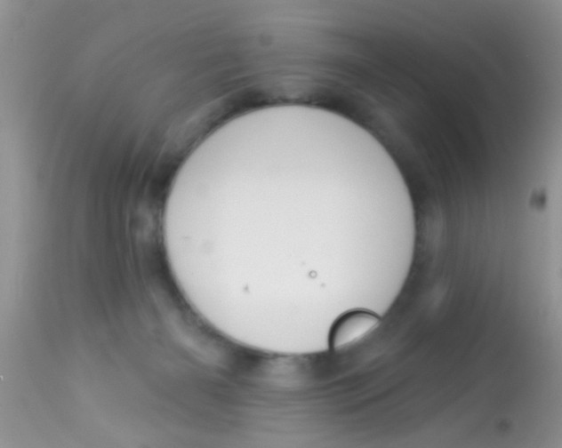 X0000113060126200909182010