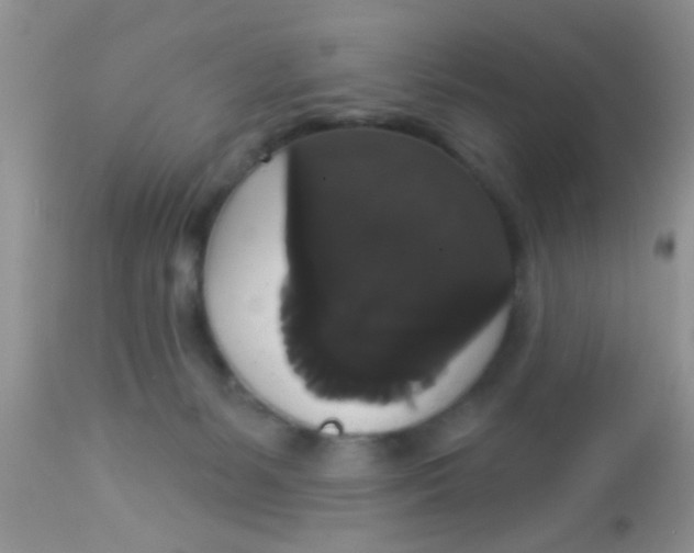 X0000113060127200909182010