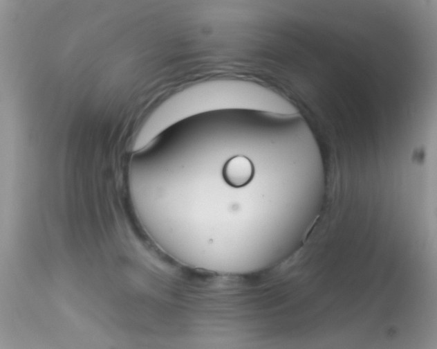 X0000113060128200909182010