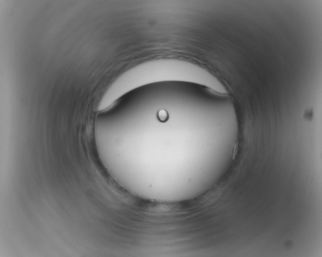 X0000113060129200909182010