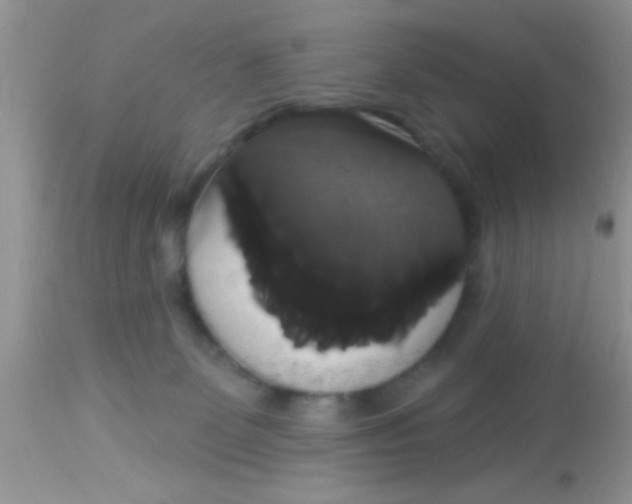 X0000113060131200909182009