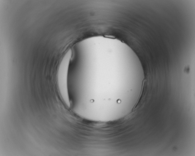 X0000113060132200909182009