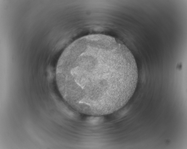 X0000113060135200909182009