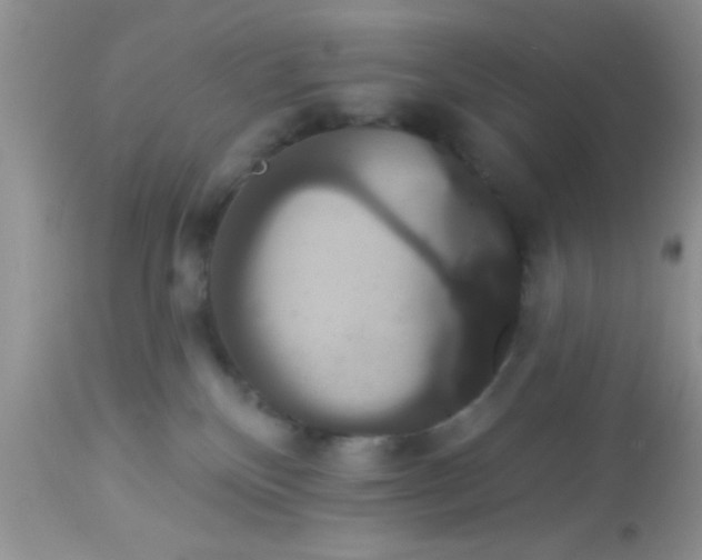 X0000113060136200909182009