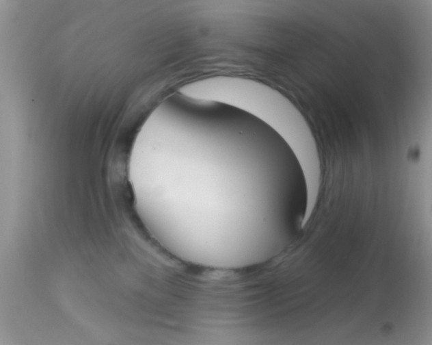 X0000113060137200909182009