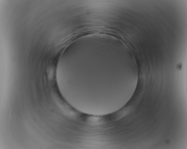 X0000113060139200909182009