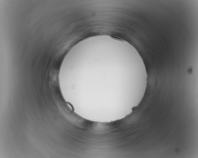 X0000113060141200909182009