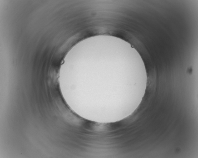 X0000113060142200909182009