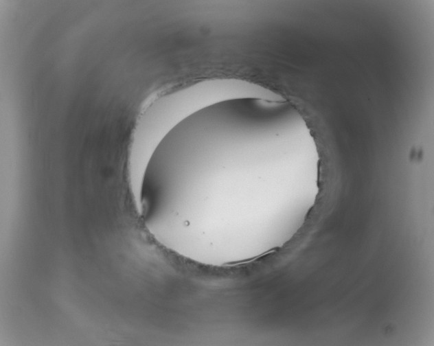 X0000113060144200909182009