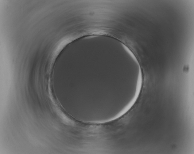 X0000113060145200909182009