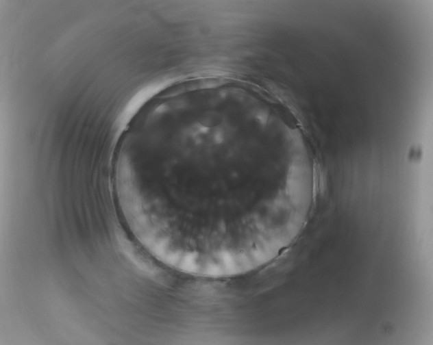 X0000113060147200909182009