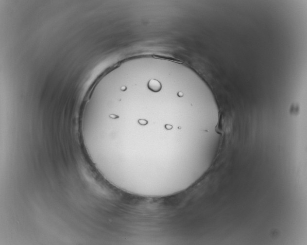 X0000113060148200909182009