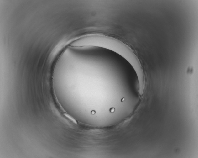 X0000113060150200909182009